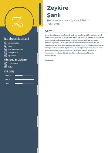 Hasta ve Yaşlı Bakım Elemanı Cv Örnekleri cv indir